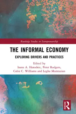 the informal economy book cover image