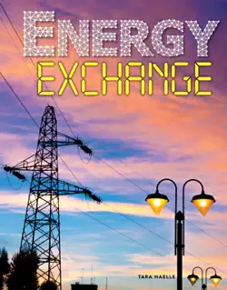 energy exchange book cover image