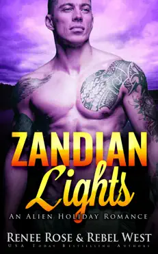 zandian lights book cover image