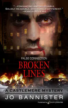 broken lines book cover image