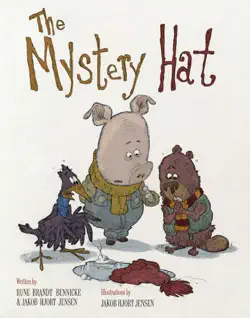 the mystery hat book cover image