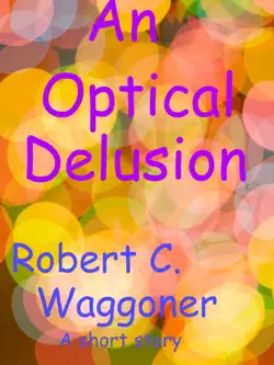 an optical delusion book cover image