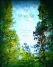 North of Wonder synopsis, comments