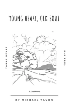 young heart, old soul book cover image