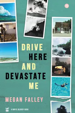 drive here and devastate me book cover image