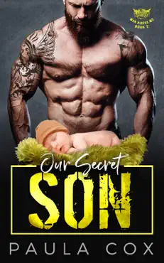 our secret son book cover image