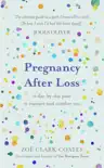 Pregnancy After Loss synopsis, comments