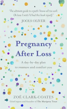pregnancy after loss book cover image