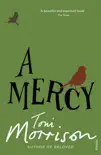A Mercy sinopsis y comentarios