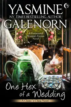 one hex of a wedding book cover image
