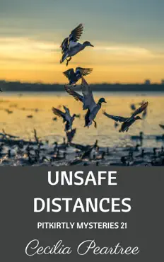 unsafe distances book cover image