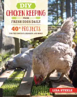 diy chicken keeping from fresh eggs daily book cover image
