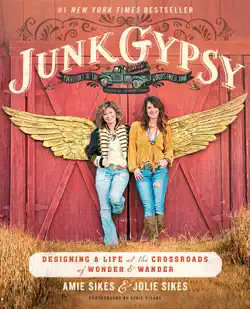 junk gypsy book cover image