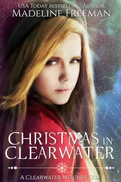 christmas in clearwater book cover image