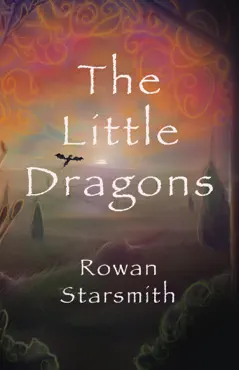 the little dragons book cover image