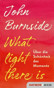 what light there is book cover image