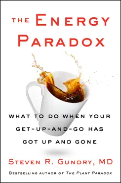 the energy paradox book cover image
