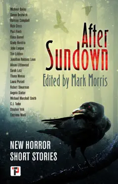 after sundown book cover image