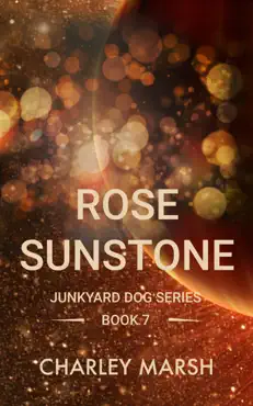 rose sunstone book cover image
