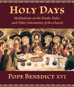 holy days book cover image