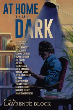 at home in the dark book cover image