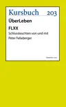 FLXX 5 Schlussleuchten von und mit Peter Felixberger synopsis, comments