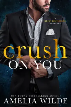 crush on you book cover image