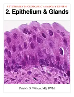 epithelium & glands book cover image