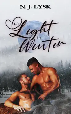 a light in winter book cover image