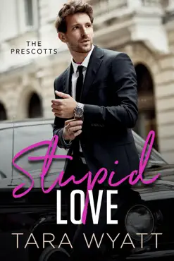 stupid love book cover image