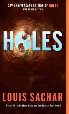 holes book cover image