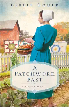 patchwork past book cover image