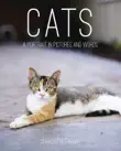 Cats synopsis, comments