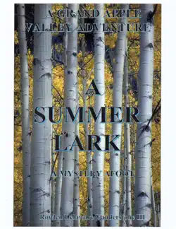 a summer lark, a mystery afoot book cover image