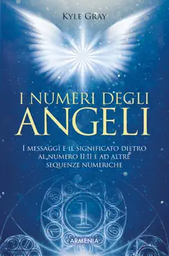 i numeri degli angeli book cover image