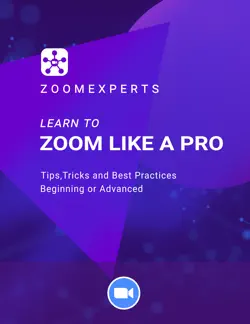 zoom-like-a-pro book cover image