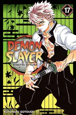 demon slayer: kimetsu no yaiba, vol. 17 book cover image