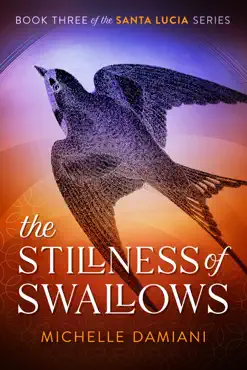 the stillness of swallows book cover image