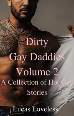 dirty gay daddies volume 2: a collection of hot gay stories book cover image
