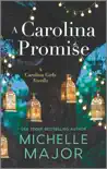 A Carolina Promise synopsis, comments