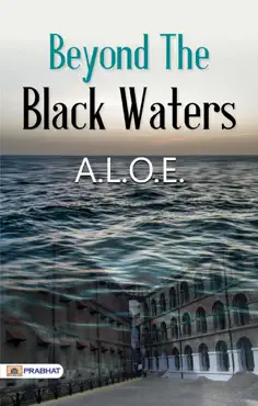 beyond the black waters book cover image
