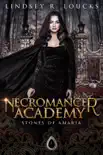 Necromancer Academy book summary, reviews and download