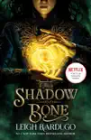 Shadow and Bone: Now a Netflix Original Series sinopsis y comentarios