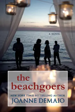 the beachgoers book cover image