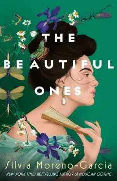 the beautiful ones book cover image