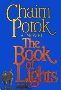 the book of lights book cover image