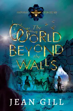 the world beyond the walls book cover image