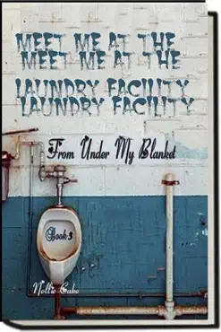 from under my blanket...meet me at the laundry facility book 3 book cover image