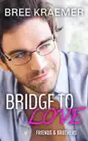 Bridge To Love synopsis, comments
