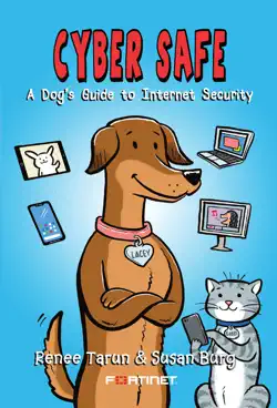 cyber safe book cover image